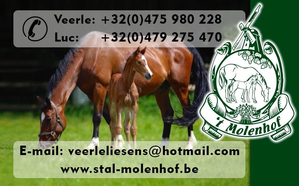 molenhof facebook